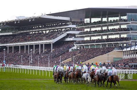 cheltenham tomorrow|Cheltenham Festival 2024 LIVE: Day 2 .